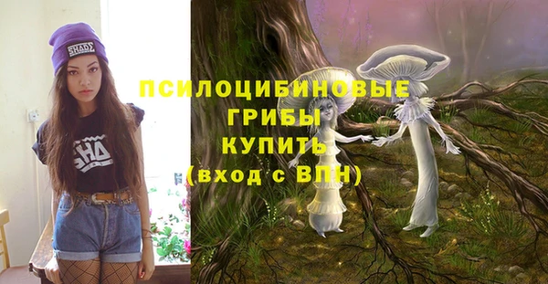 соль курить ск Арсеньев