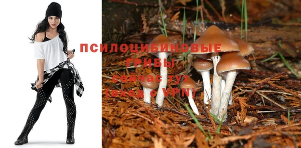 кокаин Армянск