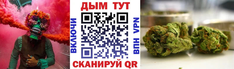 Бошки Шишки марихуана  Зеленоградск 